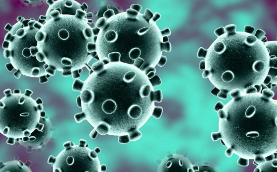 coronavirus image