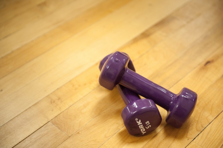 A pair of hand weights sit on the ground