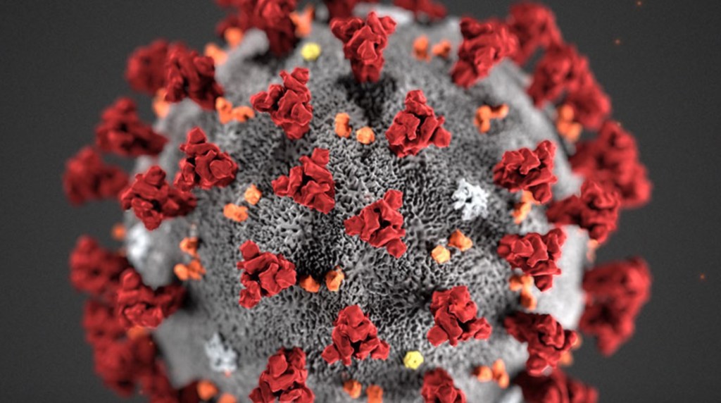 image of coronavirus