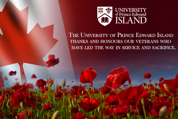 Remembrance day graphic with poppies and Canadian flag