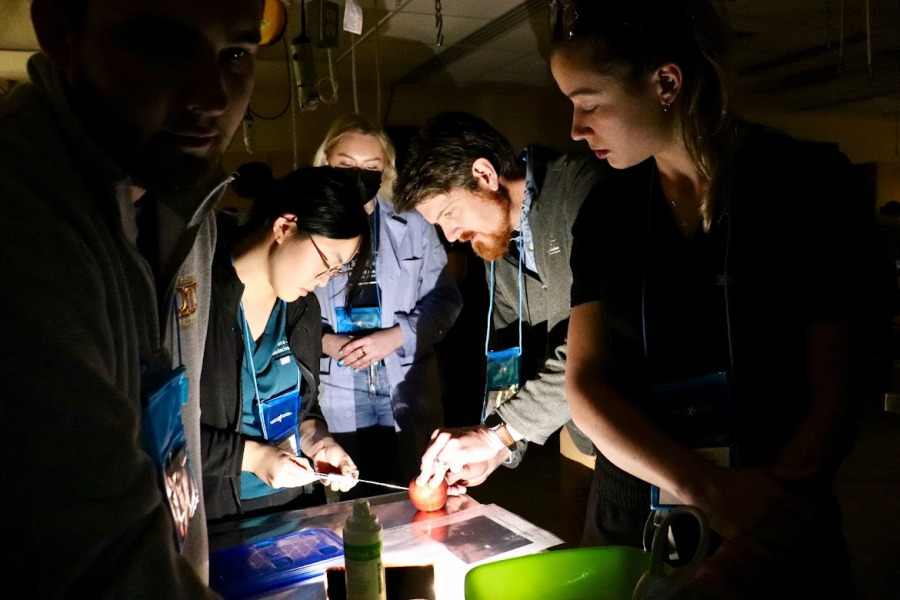 SCVMA Symposium participants learn to use an ultrasound to practice taking ultrasound guided biopsies. (Photo credit: Kristy Faulkner) 