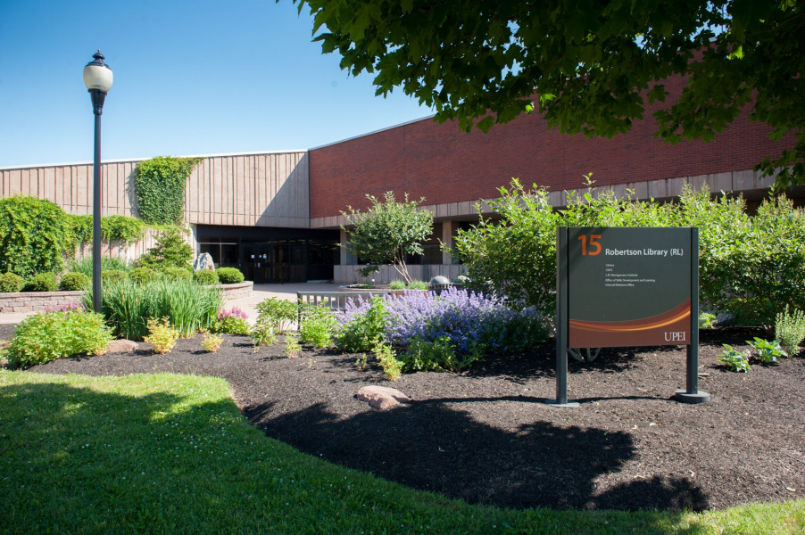 Photo of trees shading the library building in summer