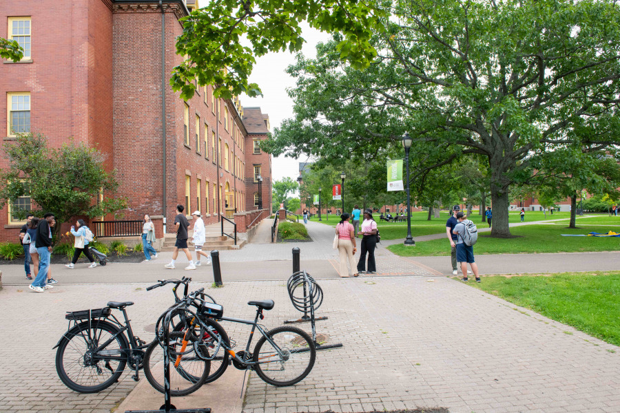 photo of bicycles in racks on walkway on university campus