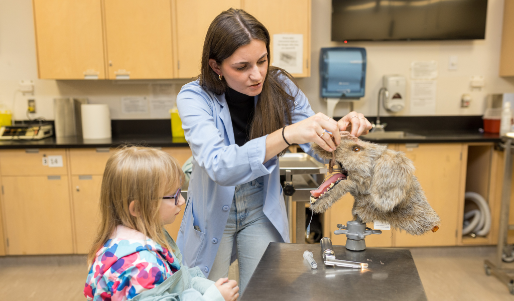 AVC DVM Student showing a child the teaching models