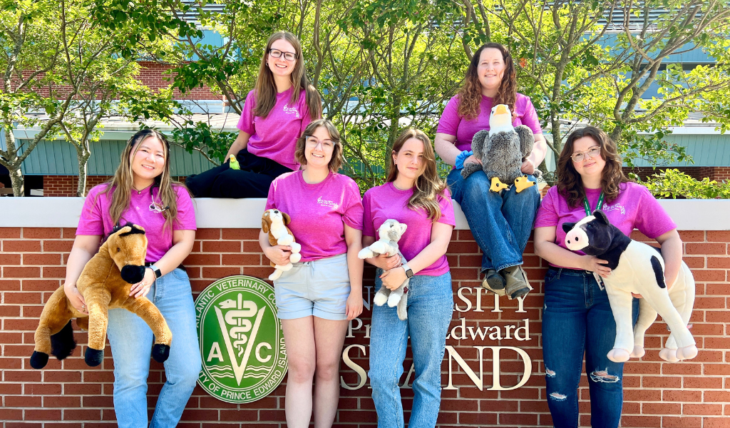 Vet camp counsellors pose with stuffed animals