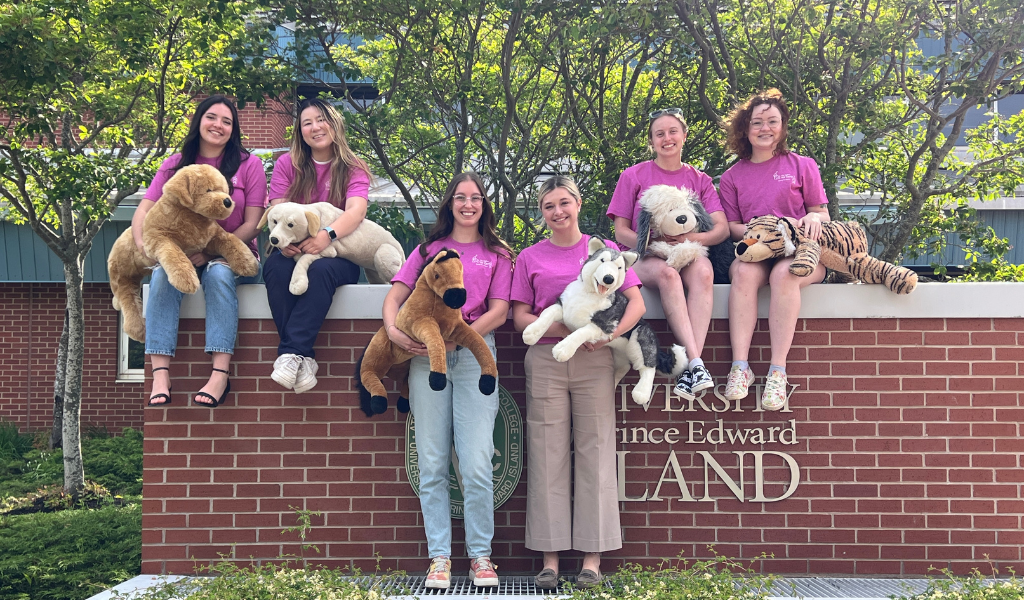 AVC Vet Camp team (L-R): Haley Greene, Molly Park, Cassidy Park, Leah Campbell, Sammy Daling, and Emmy Barr
