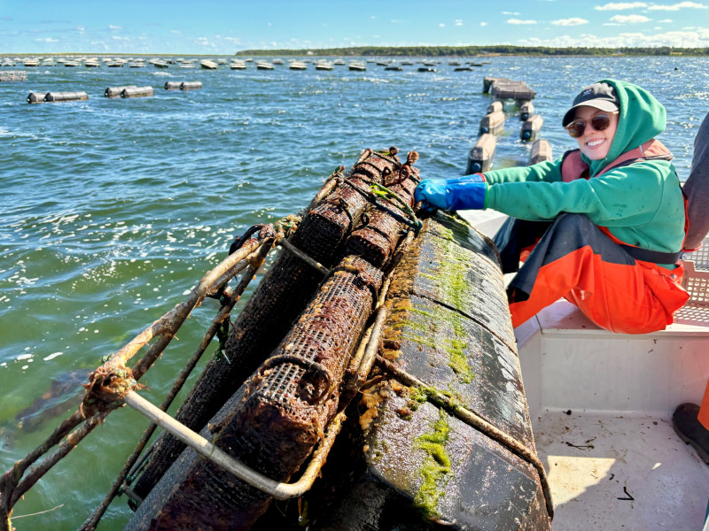 Student with oyster cages
