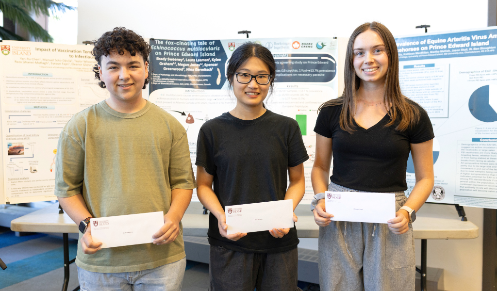 Brady Sweeney, Yan-Run Chen, and Michaela Green