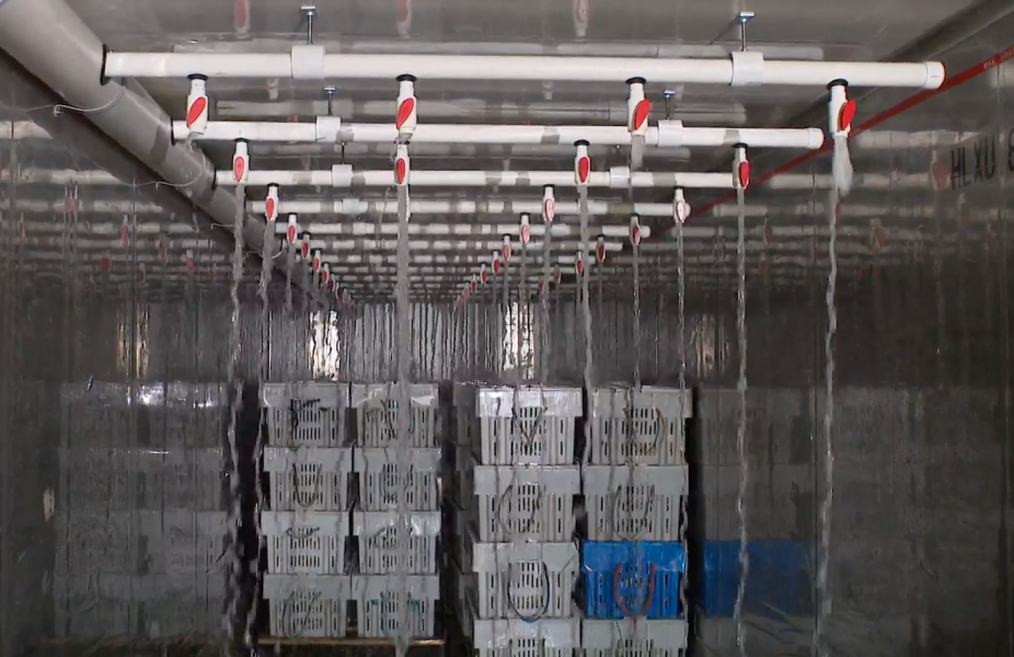 The sustainable spray lobster holding tank designed by UPEI engineering students The sustainable spray lobster holding tank designed by UPEI engineering students