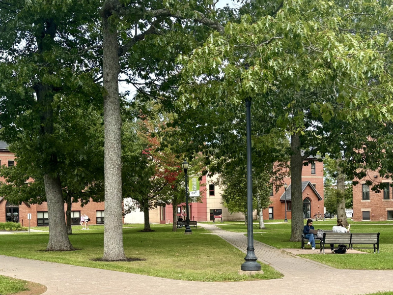 Photo of campus quadrangle in September with Steel Building in the background
