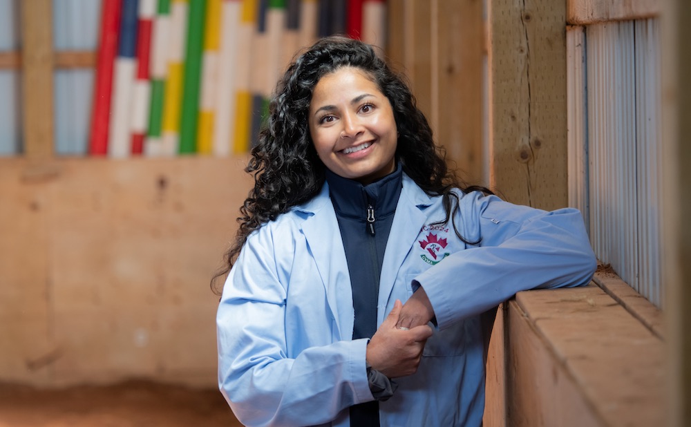 UPEI veterinary medicine student Anam in in indoor paddock