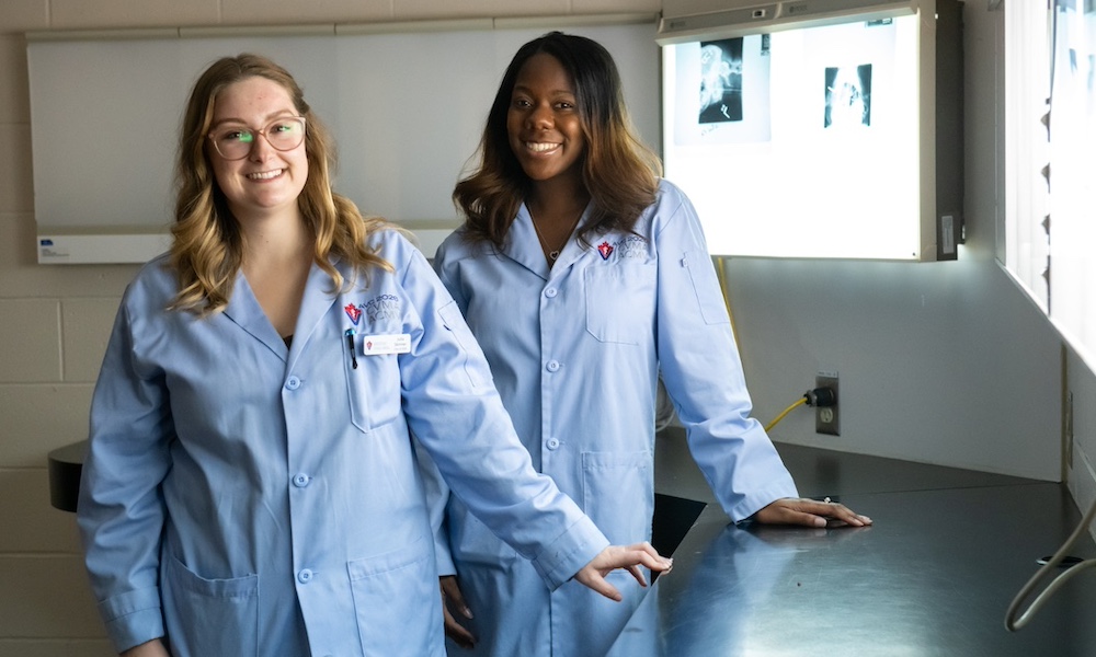 two veterinarians reviewing radiographs