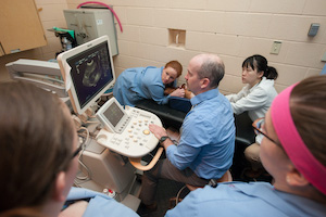 veterinarians performing an ultrasound on a dachshund