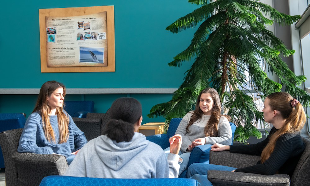 four UPEI DVM students talking in the AVC learning commons