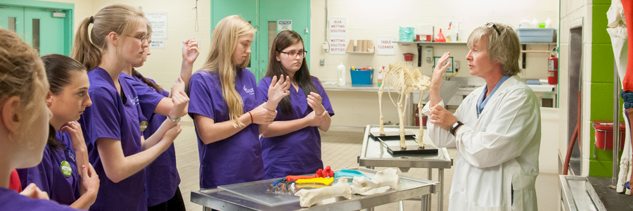 vetcamp students learning surgical glove technique