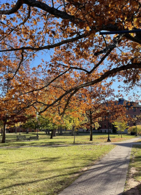 Photo of campus quadrangle in the fall