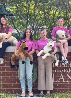 AVC Vet Camp team (L-R): Haley Greene, Molly Park, Cassidy Park, Leah Campbell, Sammy Daling, and Emmy Barr