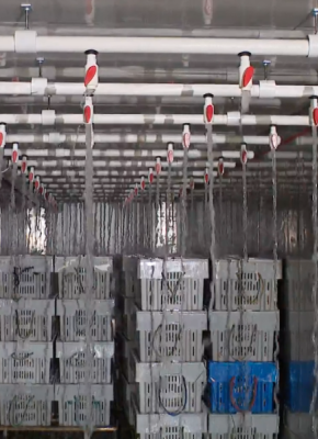 The sustainable spray lobster holding tank designed by UPEI engineering students The sustainable spray lobster holding tank designed by UPEI engineering students