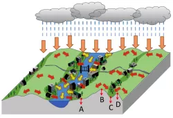 Visual generated from Dr. Wang's model