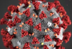 image of coronavirus