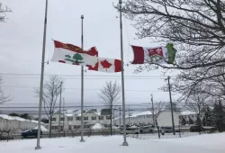 image of flags at half mast