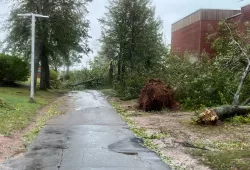 image of fallen trees obstructing pathway