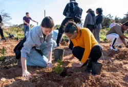 Students plant trees