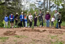 a group of people standing in a wooded area behind several newly planted trees