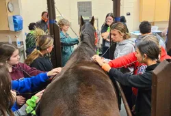 Indigenous campers at AVC Vet Camp