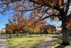 photo of campus in fall