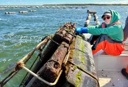 Student with oyster cages
