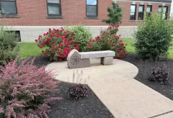 Photo of stone bench surrounded by shrubs in bloom