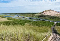 walking trail in Greenwich PEI