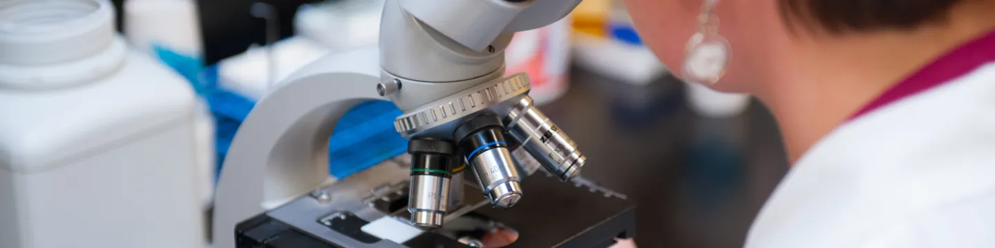 A researcher looks through a microscope