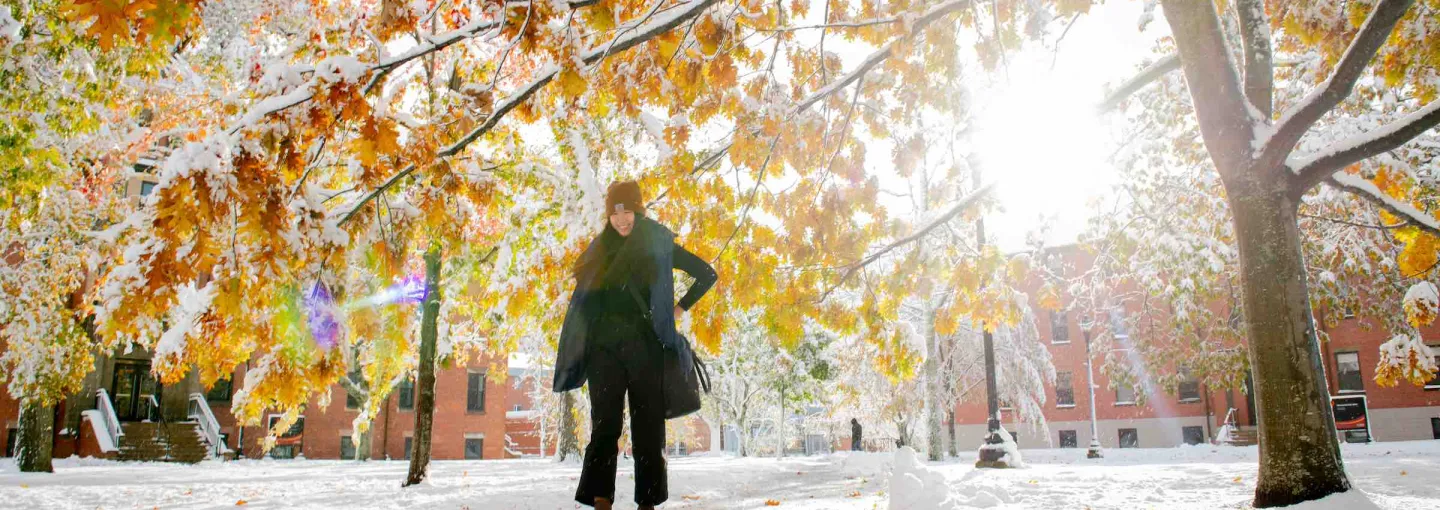 a student walking under an oak tree in snowfall