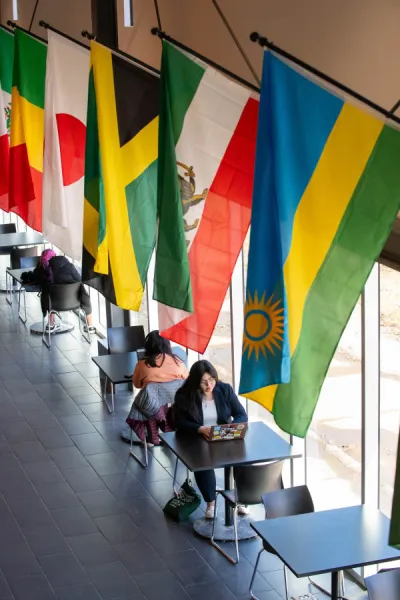 a student in Schurman Market Street with flags above