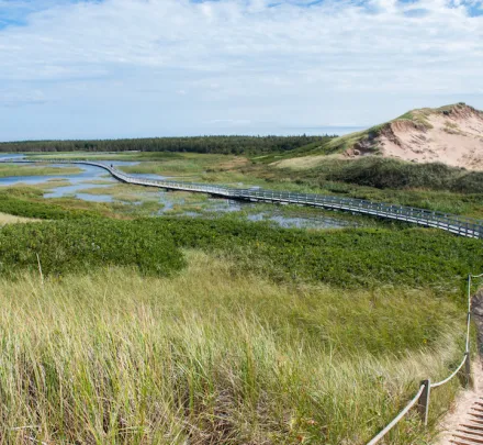 greenwich pei boardwalk