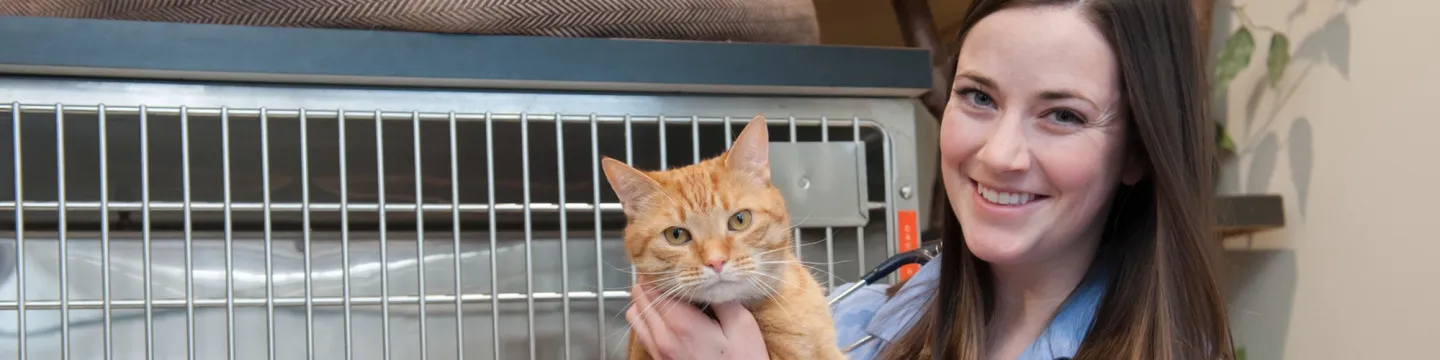 smiling DVM student holding an orange cat