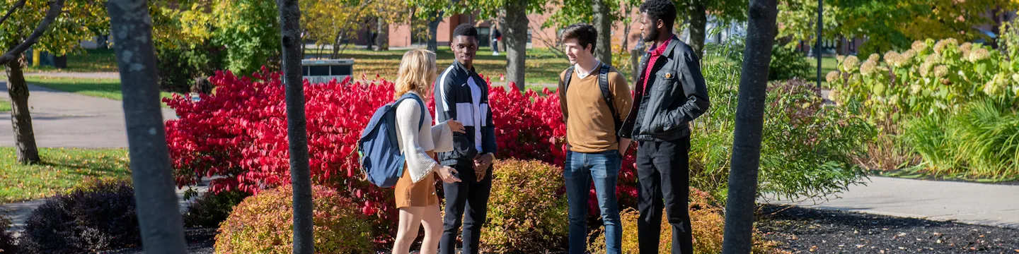 four students walking on upei's campus