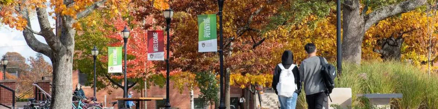 students walking through UPEI's quad in Fall