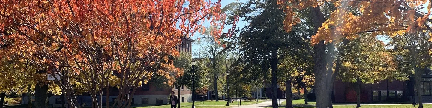 students in the upei quadrangle