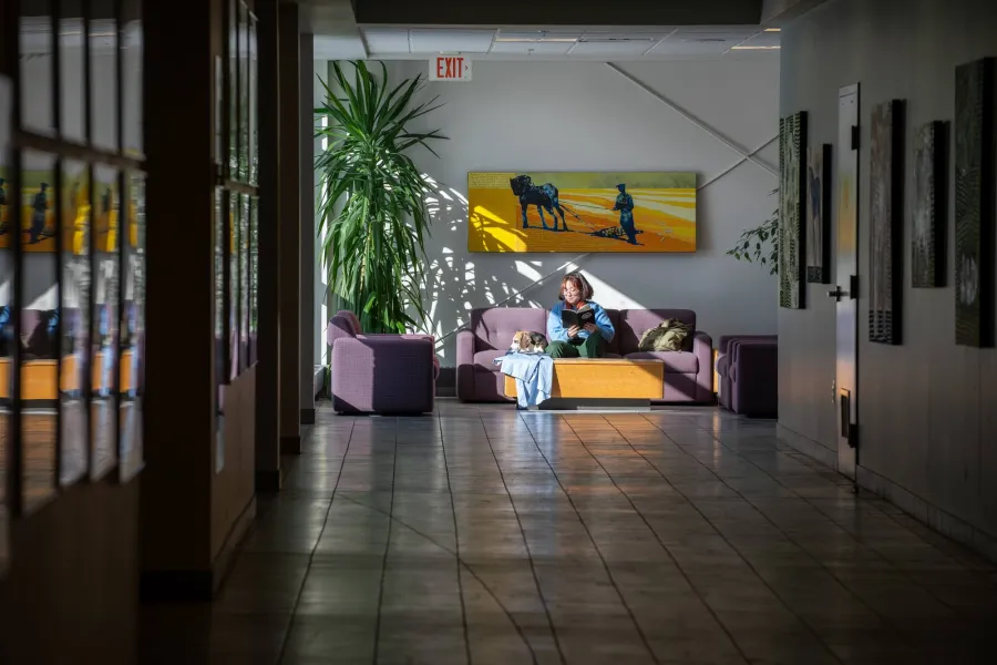 UPEI DVM student Tsukasa Iwamoto and a beagle at the Atlantic Veterinary College