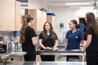 four UPEI DVM students in the AVC lab