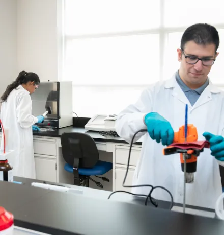 UPEI students Vidya Singh and Rabie Al Mialeh working in a laboratory