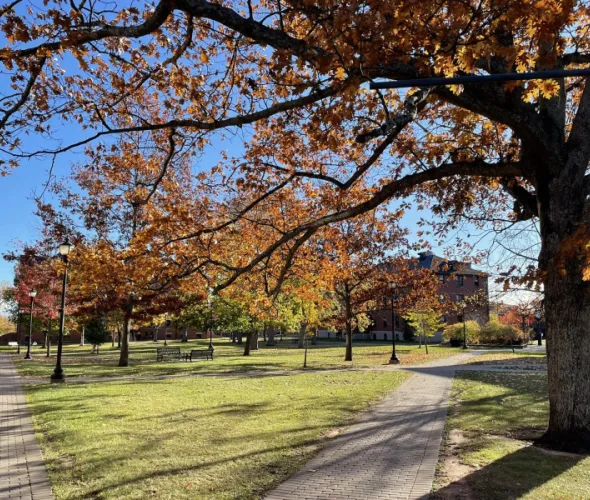 Photo of campus quadrangle in the fall