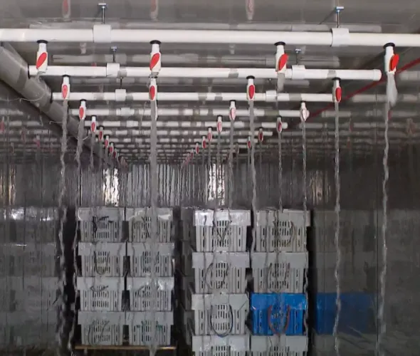 The sustainable spray lobster holding tank designed by UPEI engineering students The sustainable spray lobster holding tank designed by UPEI engineering students